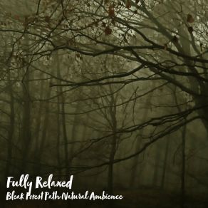 Download track Bleak Forest Path Natural Ambience, Pt. 18 Steve Brassel