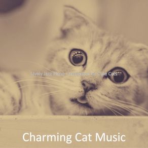 Download track Retro Ambience For Relaxing Your Cat Charming Cat Music