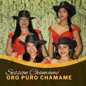 Download track Corte 2 Oro Puro Chamame