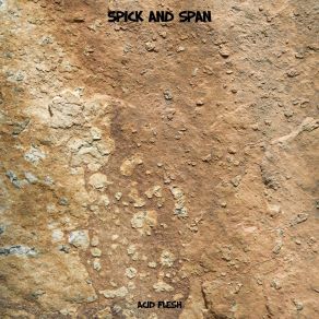 Download track Spick And Span Acid Flesh