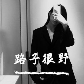 Download track 面对疾风吧（Remix） 7妹