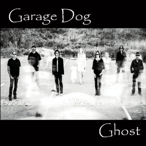 Download track What I Can Use Garage Dog