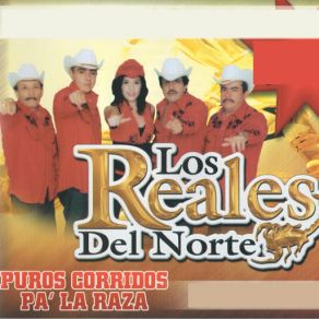 Download track Saul Rodriguez Los Reales Del Norte