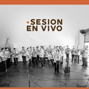 Download track Yo Te Quise (En Vivo) Rondalla Bellas Artes