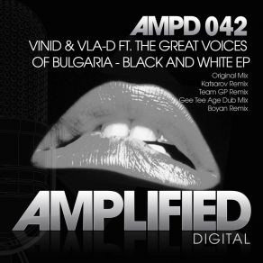 Download track Beyond Borders (Vinid Ambient Mix) VinidVla-D