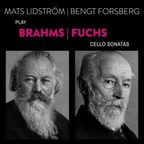 Download track Brahms: Sonata For Cello And Piano No. 2 In F Major, Op. 99 - III. Allegro Passionato Bengt Forsberg, Mats Lidström