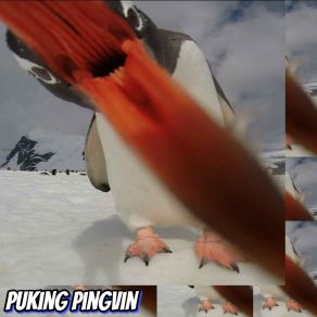 Download track Pu-Pu-Punchy Puking Pingvin