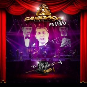 Download track Te Quiero Tanto (En Vivo) Sabroso