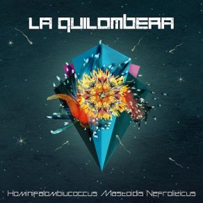 Download track Ciudadano Del Mundo La Quilombera