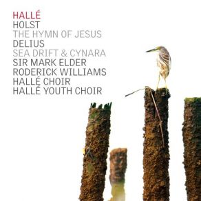 Download track Sea-Drift, RT II / 3 Halle, Hallé Choir, Sir Mark Elder, Hallé Youth Choir