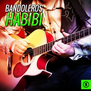 Download track Salam Bandoleros Art