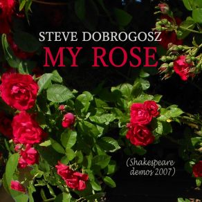 Download track Your Memory Steve Dobrogosz