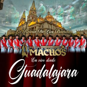 Download track Casimira Con Mi Banda El Mexicano (En Vivo) Banda Machos