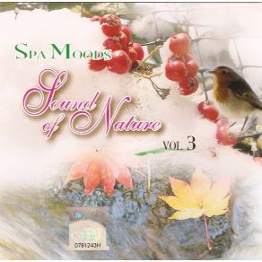 Download track Melody Of Hope Spa Moods