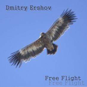 Download track Free Flight (Original Mix) Dmitry Ershov