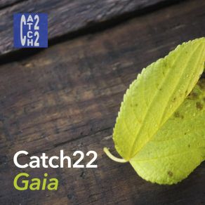 Download track Capivara Catch22