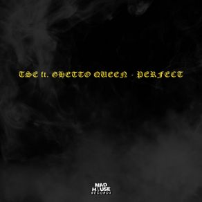 Download track Perfect TSE, Ghetto Queen, CHICO BEATZ