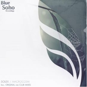 Download track Macrocosm (Original Mix) Solex