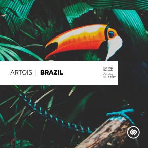 Download track Rio De Janeiro Artois