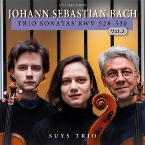 Download track Trio Sonata No. 5, BWV 529: II. Largo Suys Trio