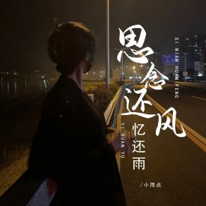 Download track 思念还风忆还雨 (Dj彭锐版伴奏) 小雨点彭锐