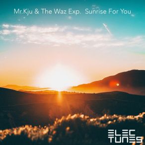 Download track Sunrise 4 You (Tom Appl Remix) The Waz Exp