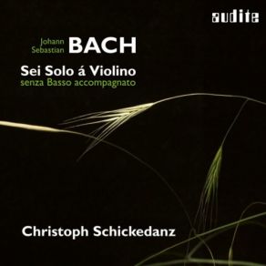 Download track Violin Partita No. 3 In E Major, BWV 1006: VI. Bourrée Christoph Schickedanz