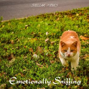 Download track The Swarming Emotionally Sniffing