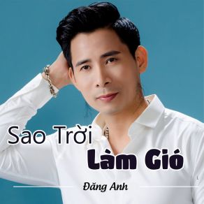 Download track Sầu Lẻ Bóng Dang Anh