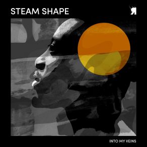 Download track Into My Veins (Original Mix) Steam Shape