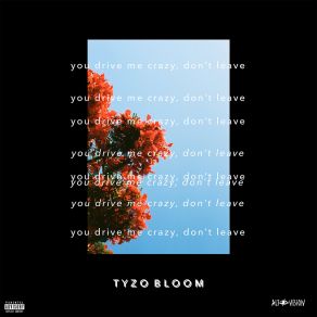 Download track You Drive Me Crazy, Don’t Leave Tyzo Bloom