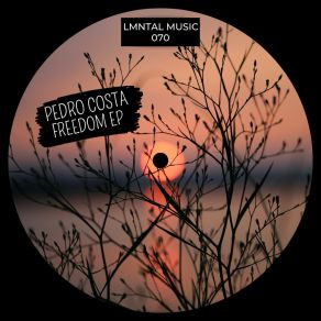 Download track Freedom (Original Mix) Pedro Costa