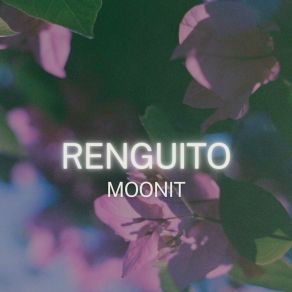 Download track Alegria Movimiento Moonit