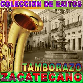 Download track En Las Cantinas Tamborazo Zacatecano