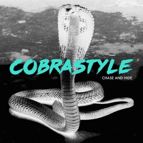 Download track Chase And Hide Cobrastyle