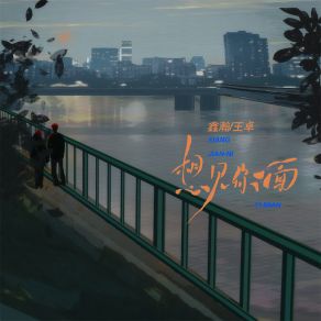 Download track 想见你一面 鑫瀚