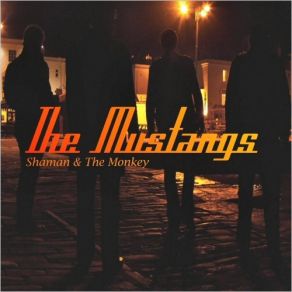 Download track Highwire The Mustangs