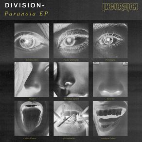 Download track Karma (Vocal Mix) Division (DNB)P. A. B MC