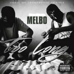 Download track Go Dummy Melbo