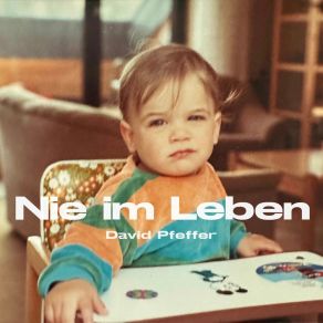 Download track Alles Geht Vorbei David Pfeffer