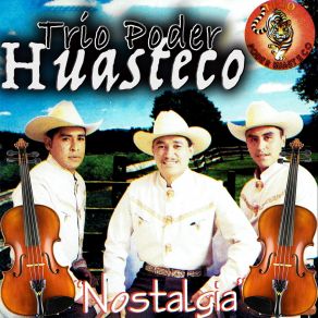 Download track Si Te Vas No Hay Lio Trio Poder Huasteco