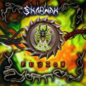 Download track Into The Fusion (Intro) Shabnak