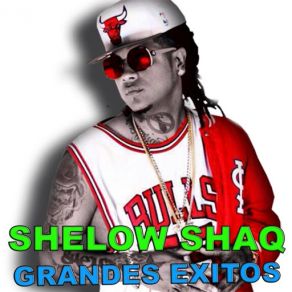 Download track Dejame Volar Shelow Shaq