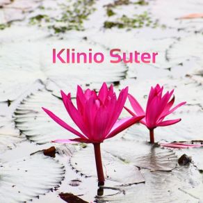 Download track How Clinic Klinio Suter