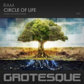 Download track Circle Of Life (Amir Hussain Remix) RAM