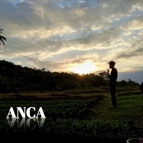 Download track Old Song Anca