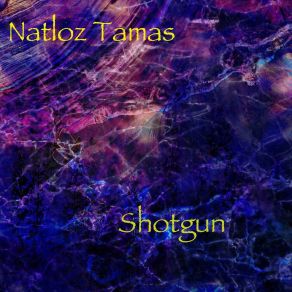 Download track Stranger (Extended Mix) Natloz Tamas