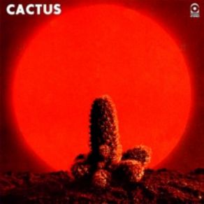 Download track Bro. Bill Cactus