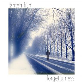 Download track Fallen Soldier Lanternfish