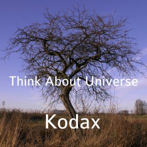 Download track Colorful Space Kodax